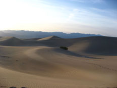 Death Valley Dunes